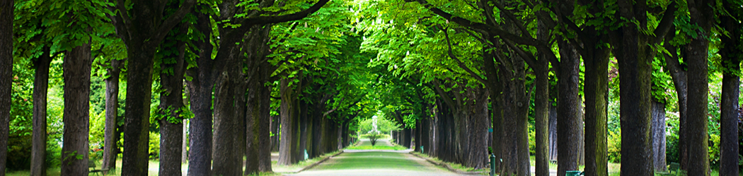 Header Magrit Schulz