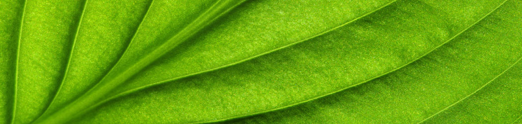 Header Links und Literatur